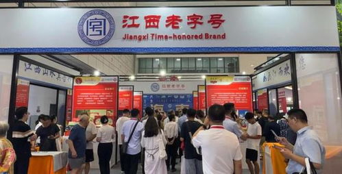 第八屆中華老字號山東博覽會盛大開幕 匠心產品琳瑯滿目，文化藝術交流添彩